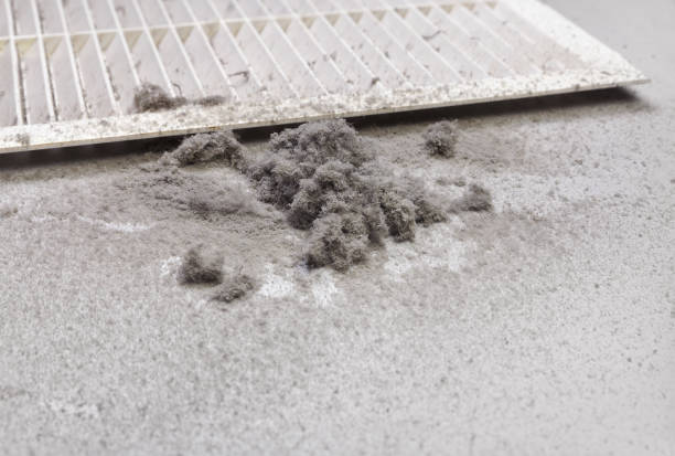 Best Commercial Air Duct Cleaning  in Burtonsville, MD